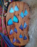 Load image into Gallery viewer, Blue Morpho Butterfly Earrings