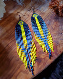 Load image into Gallery viewer, Spiritwave Fringe Earrings
