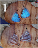 Load image into Gallery viewer, Blue Morpho Butterfly Earrings