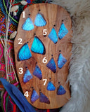 Load image into Gallery viewer, Blue Morpho Butterfly Earrings