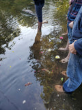Load image into Gallery viewer, Michigan, September 10-14: Embody Your Inner Flame Kambo Retreat