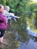 Load image into Gallery viewer, Michigan, September 10-14: Embody Your Inner Flame Kambo Retreat