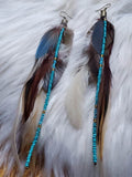 Load image into Gallery viewer, Macaw and Rooster Feather Earrings