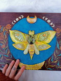 Load image into Gallery viewer, BOX: Moth and Moon Phase Medicine Box